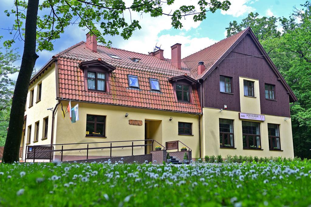 Willa Strzelnica Hotel Koscierzyna Bagian luar foto