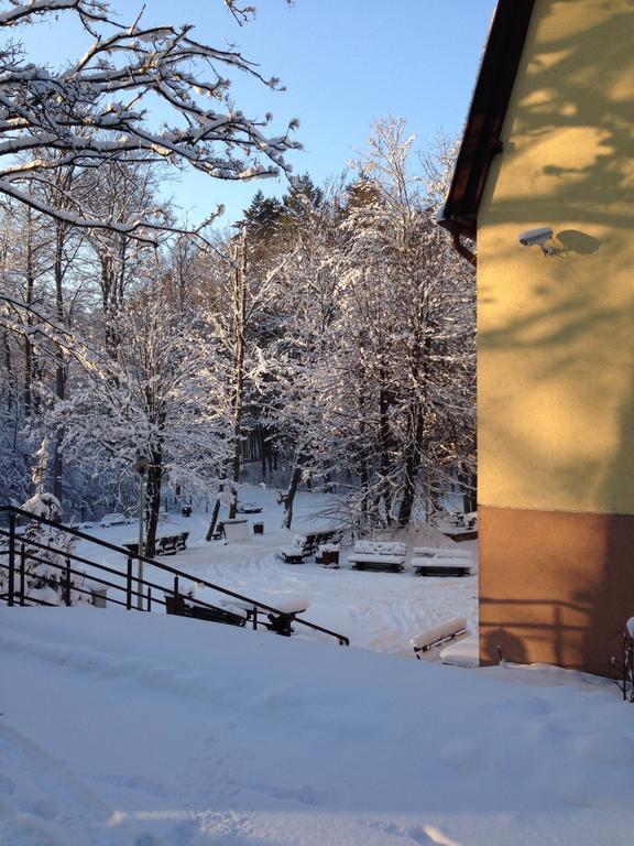 Willa Strzelnica Hotel Koscierzyna Bagian luar foto